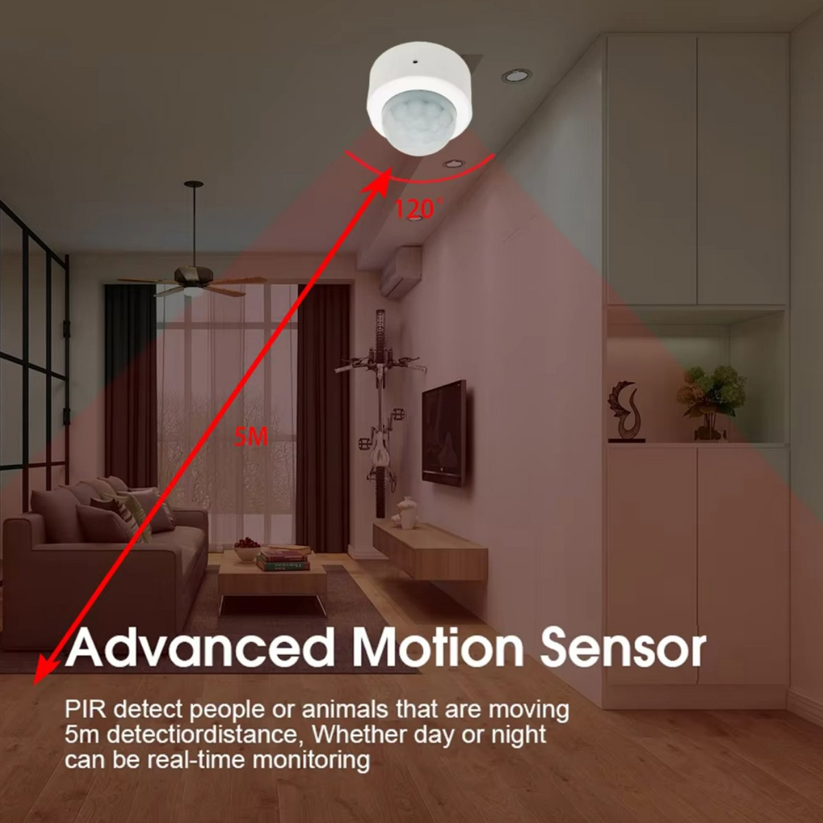 Zigbee PIR Motion Sensor Human - đánh giá và giá Smart Home Security