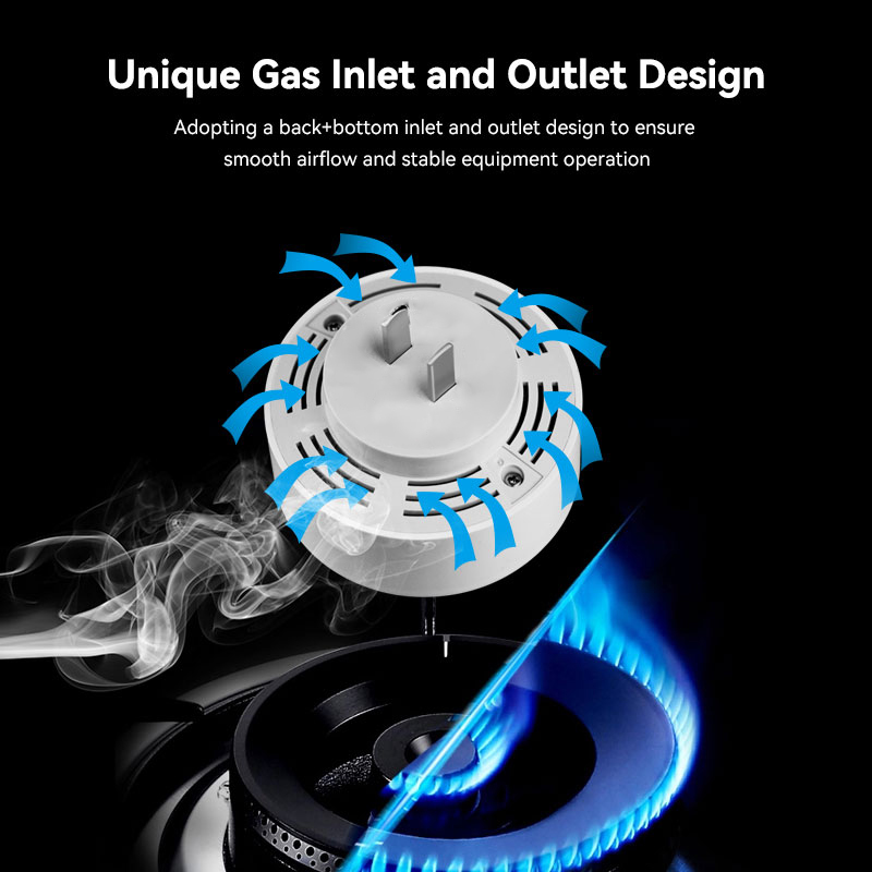 Meian Zigbee Gas Detector Tuya - đánh giá và giá Smart Home Outdoor