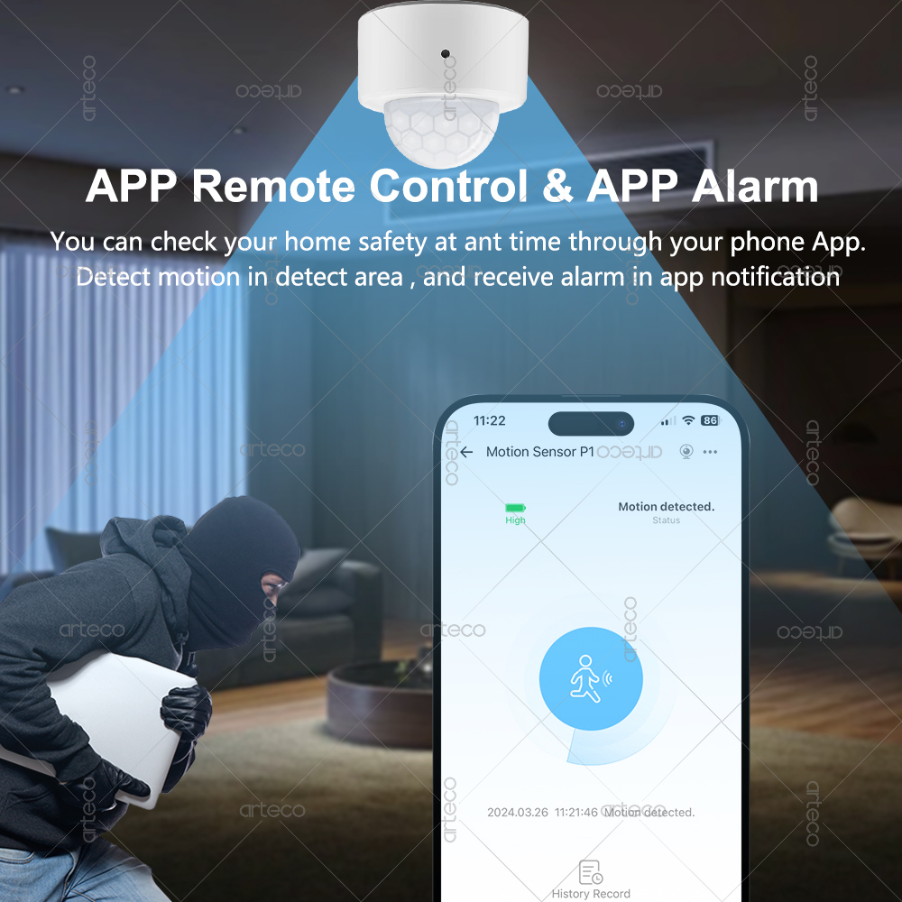 Ewelink Zigbee PIR Motion Sens - đánh giá và giá Smart Home Security