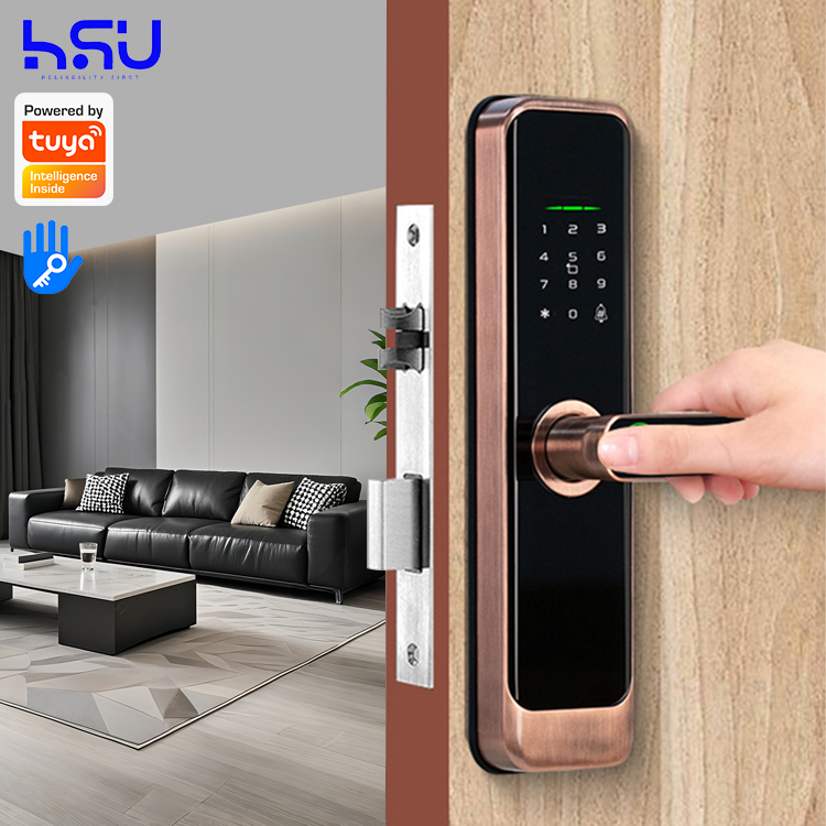 Digital Smart Doorlock Passcod - đánh giá và giá Smart Home Security