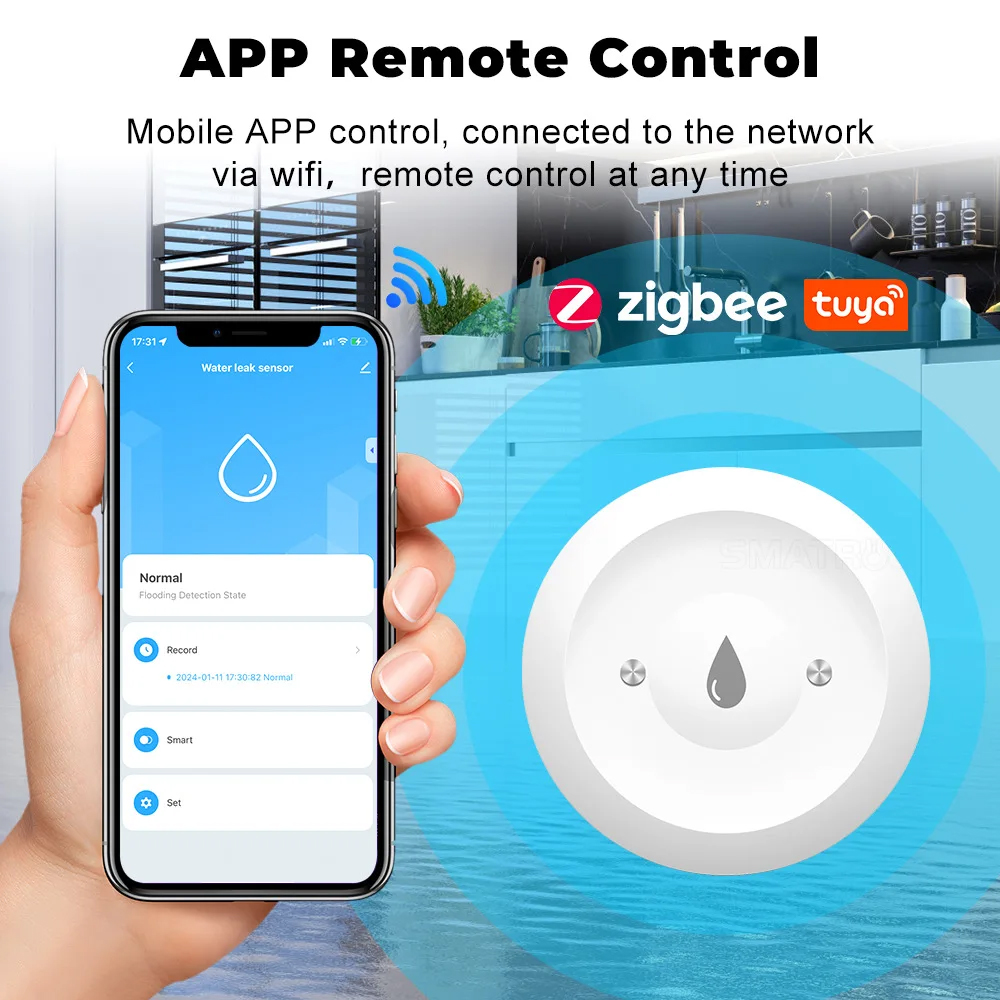 Tuya ZigBee Smart Water Immers - đánh giá và giá Smart Home Outdoor