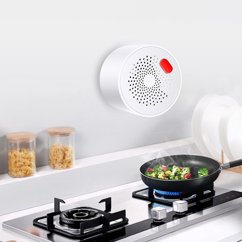 Tuya Smart Home Wifi Natural G - đánh giá và giá Smart Home Outdoor