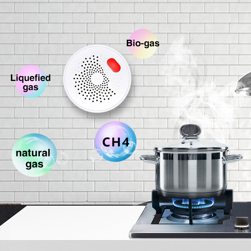 Tuya Smart Home Wifi Natural G - đánh giá và giá Smart Home Outdoor