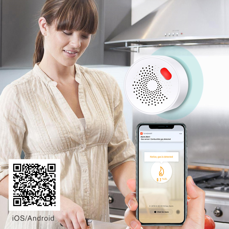 Tuya Smart Home Wifi Natural G - đánh giá và giá Smart Home Outdoor